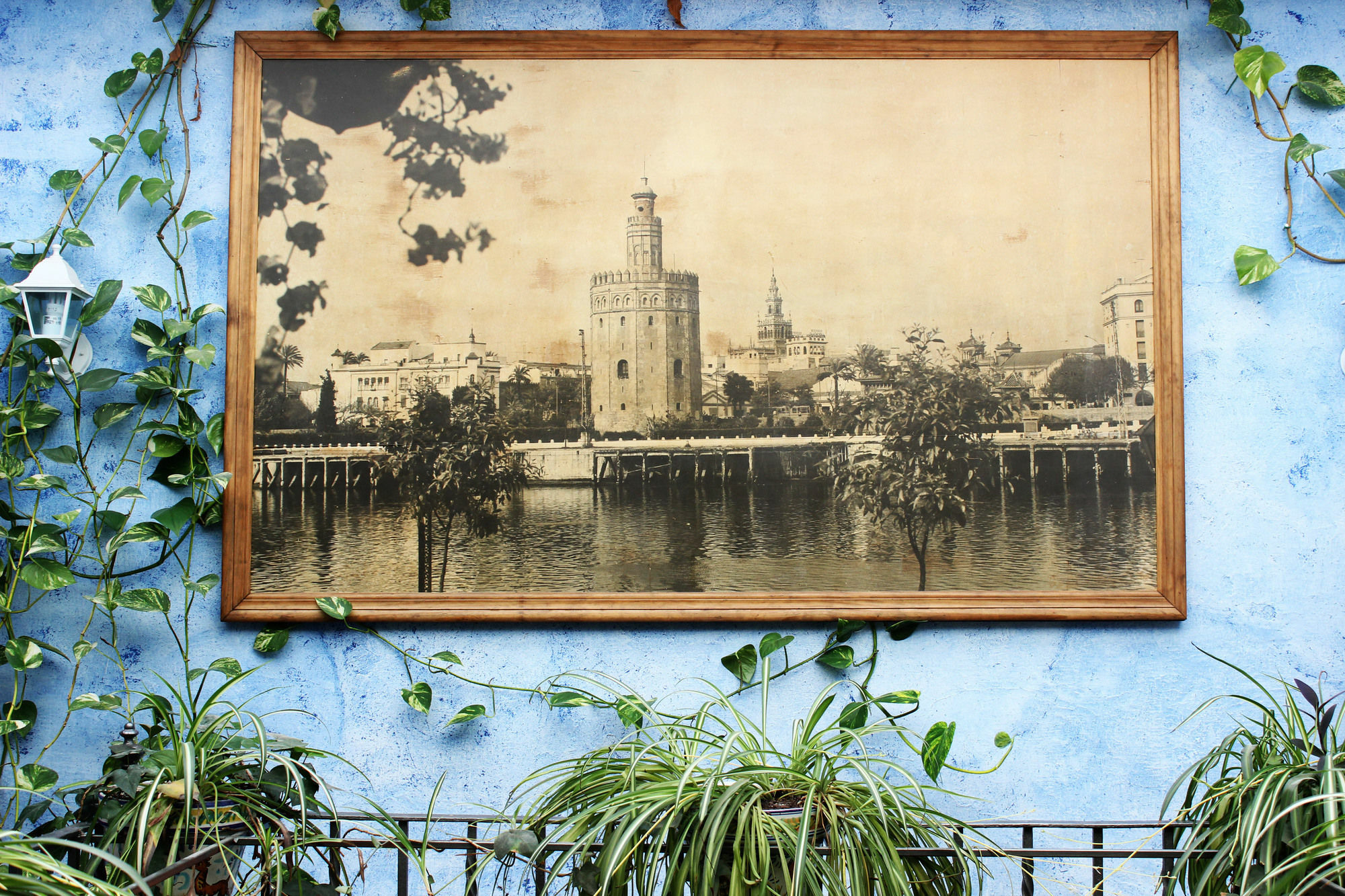 Lisdos Sevilla